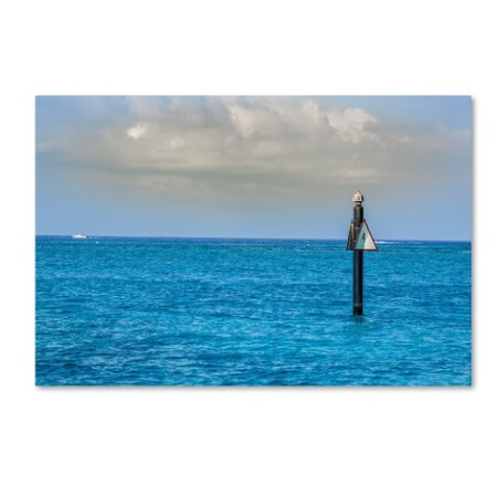 Trademark Fine Art Yale Gurney 'Snorkel Spot 4' Canvas Art, 16x24 YG7168-C1624GG